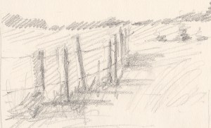 croquis jardin 2