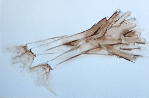 lavis au brou de noix