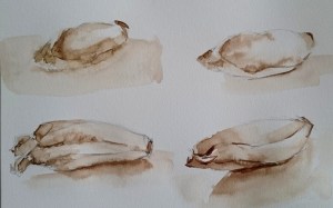 lavis au brou de noix